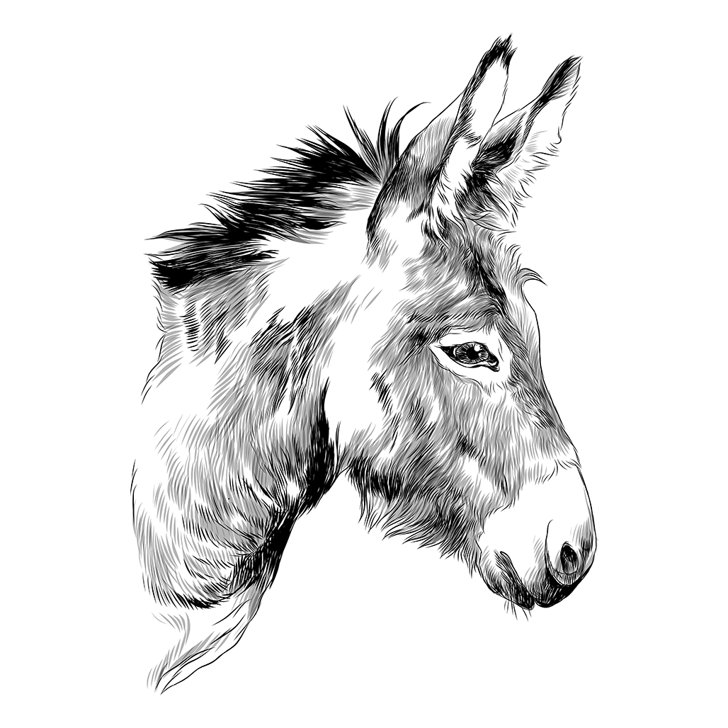 Eseltrek Logo black